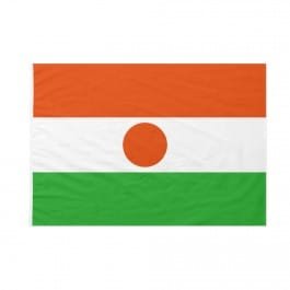 ملامح الانقلاب العسكري في النيجر بين الأسباب والتداعيات المحتملة